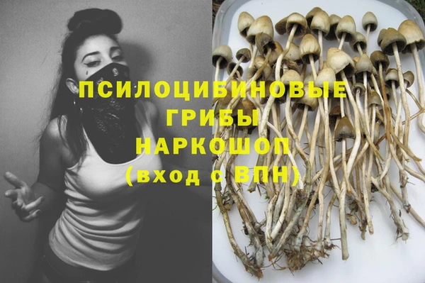 2c-b Баксан