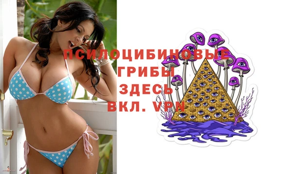 2c-b Баксан