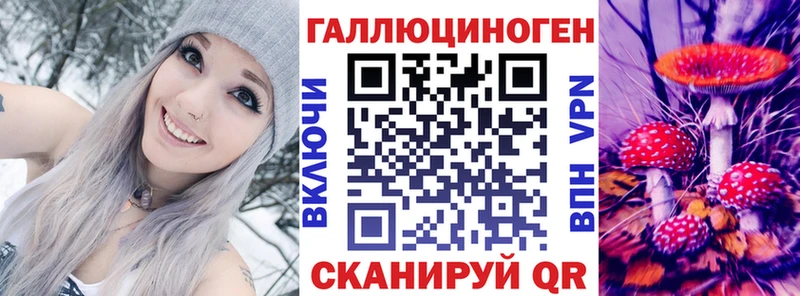 Псилоцибиновые грибы Psilocybe  где купить наркотик  Гдов 